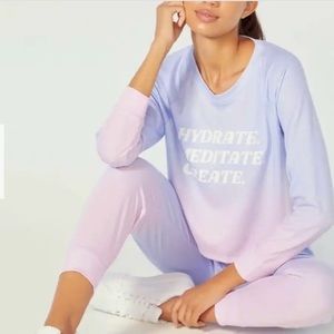 Wildfox ombré sky sweatpants ☮️